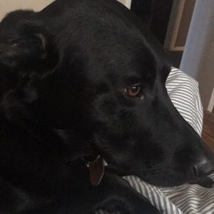 Meet your Posher, Leah